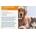 Aceite Ozonizado 15ml OZOVET especial perros y gatos - Imagen 2
