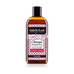 Nuggela & Sulé Champú Epigenetico Cabello Graso 250 ml - Imagen 1