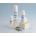 Ozoaqua aceite ozonizado 15 ml - Imagen 2