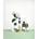 Phyto Volume acondicionador capilar voluminizador 175 ml - Imagen 2