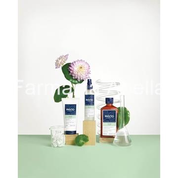 Phyto Volume champú voluminizador 250 ml - Imagen 2