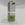 Pranarom aceite esencial BIO de eucalipto radiata 10 ml - Imagen 2
