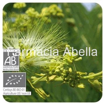 Pranarom Aceite Esencial de Clavo de Especias 10 ml - Imagen 1